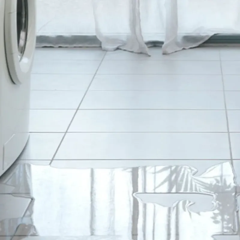 Appliance Leak Cleanup in Cedar Ridge, CA